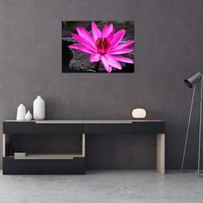Tablou pe sticlă - floarea roz (70x50 cm)