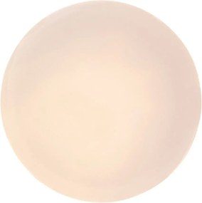 Plafoniera pentru exterior, Protectie IP44 Lowar D-24cm