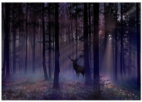 Fototapet - Mystical Forest - Second Variant