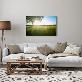 Tablou cu lunca în vară (90x60 cm)