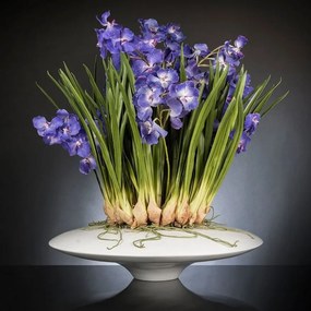 Aranjament floral LUX CYMBIDIUM violet, 80x95cm