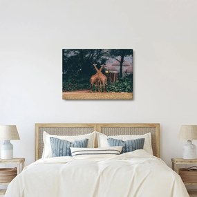 Tablou cu două girafe (70x50 cm)