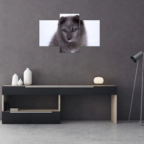 Tablou cu vulpe polară (90x60 cm)