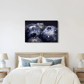 Tablou cu fructe cu picături de apă (90x60 cm)