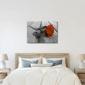Tablou - Trandafir portocaliu (70x50 cm)