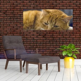 Tablou cu pisica (120x50 cm)