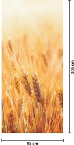 Fototapet pentru ușă - câmp cu cereale (95x205cm)
