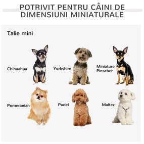 Canapea pentru pentru mini caini si pisici cu 4 picioare metalice aurii, catifea, 41,5x41,5x36,5cm PawHut | Aosom RO