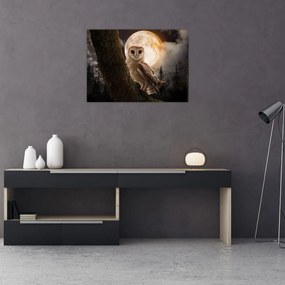Tablou cu bufnița (70x50 cm)