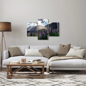 Tablou - scenariu cu flori de Lupin (90x60 cm)