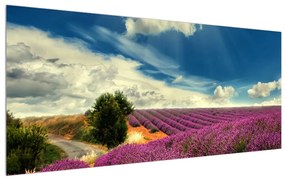 Tablou cu câmp de levandă (120x50 cm), în 40 de alte dimensiuni noi