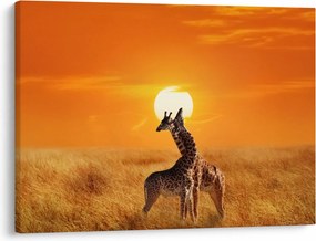 Tablou - Girafe în Parcul Național Serengeti (70x50 cm)