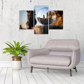 Tablou cu lupa și peisaj (90x60 cm)