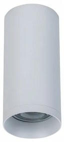 Spot aplicat de tavan/plafon Alfa MYC010CL-01W