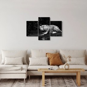 Tablou - Tigru alb, alb-negru (90x60 cm)