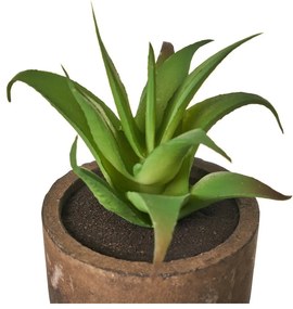 Plante artificiale 4 buc. (înălțime 10 cm) Cactus – Casa Selección