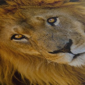 Tablou - Portret de leu (120x50 cm)