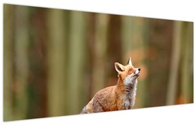 Tablou - Vulpe (120x50 cm)