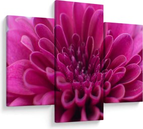 Tablou cu floare (90x60 cm)
