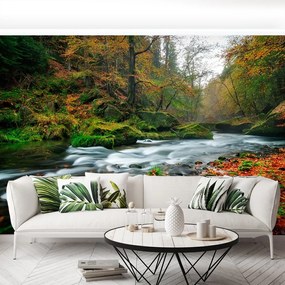 Fototapet Toamna Stream