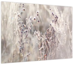 Tablou - Plante (70x50 cm)