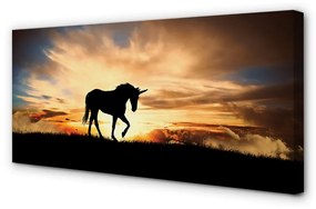 Tablouri canvas apus de soare Unicorn