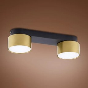 Spot SPACE GOLD 2xGX53/15W/230V