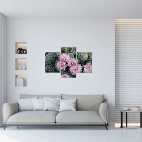 Tablou floare de cactus (90x60 cm)