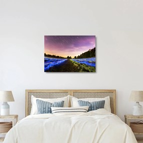Tablou pe sticlă cu câmp colorat (70x50 cm)