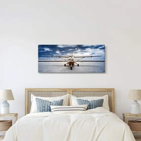 Tablou cu aeroplan cu motor (120x50 cm)