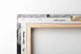 Tablou yin și yang Budha în design alb-negru