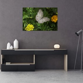 Tablou - fluture alb (90x60 cm)