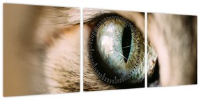 Tablou - Ochi de pisică (cu ceas) (90x30 cm)