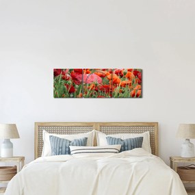 Tablou din câmp cu maci (cu ceas) (90x30 cm)