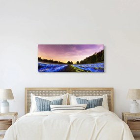 Tablou cu câmp colorat (120x50 cm)