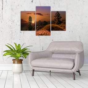 Tablou naturii cu apus de soare (90x60 cm)