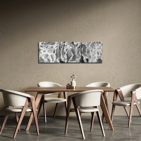 Tablou - Frunze înghețate,alb-negru (cu ceas) (90x30 cm)
