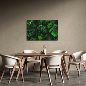 Tablou cu frunze Monstery (90x60 cm)