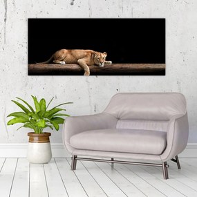 Tablou - Lioness (120x50 cm)