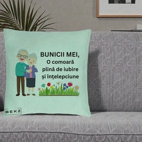 Cadou pentru Bunici - Perna Personalizata Bunicii Mei Comoara Cuplu Senior cu Flori Colorat, 40x40 cm, Verde Menta, Husa Detasabila, Perna Inclusa, BEKZ®