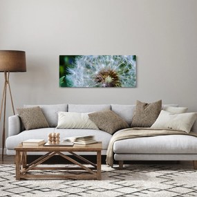 Tabloul cu păpădie desflorit (120x50 cm)