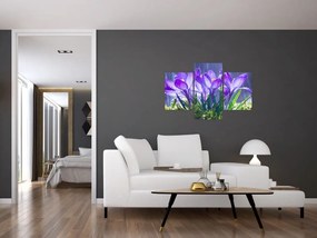 Tablou cuflori în ploaie (90x60 cm)