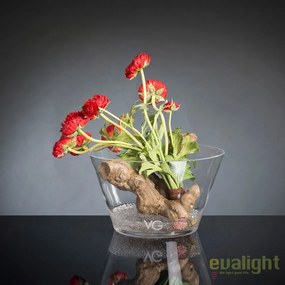 Aranjament floral elegant din bujori rosii ISEO 1141850.30