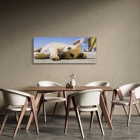 Tablou cu cățeluș dormind (120x50 cm)