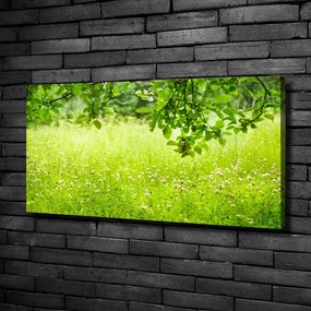 Tablou pe pânză canvas Pajiște verde