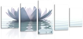 Tablou 5-piese floare de lotus