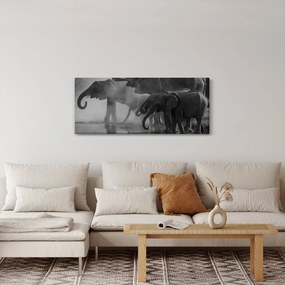Tablou cu elefanți - albnegru (120x50 cm)
