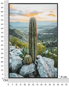 Mauro Ferretti Pictura Pe Panza, Cu Rama, Cactus -A- Cm 60X4X88 | Aosom Romania