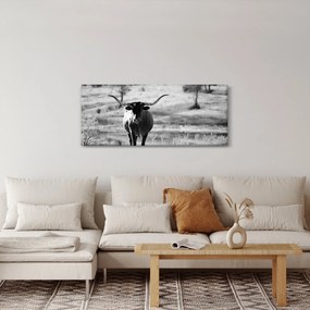 Tablou - Vacă,alb-negru (120x50 cm)