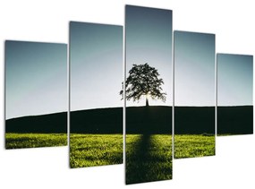 Tablou cu natura - copac (150x105 cm)